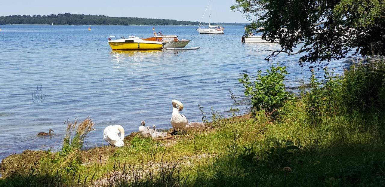 Ferienwohnung Am Schweriner See Raben Steinfeld Esterno foto